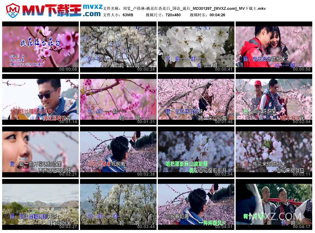 刘莹_卢伟林-桃花红杏花白_国语_流行_MD301297